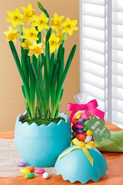 Easter Daffodil Garden Gift Harry&David