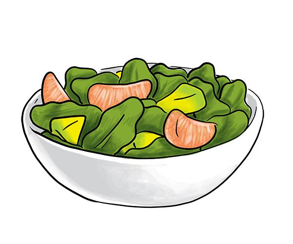 Grapefruit avocado salad drawing.